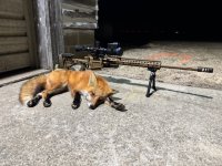 IMG_2123.jpeg
