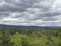 IMG_0010.jpeg