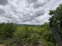 IMG_0009.jpeg