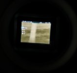 IMG_7667.jpeg