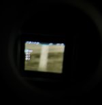IMG_7672.jpeg
