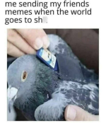 1746764745316.png