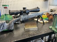 IMG_4217.jpeg