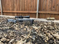 IMG_4208.jpeg