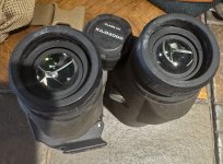 IMG_6528.jpeg