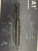 IMG_6365.jpeg