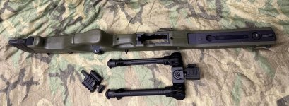 IMG_3986.jpeg