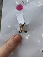 PXL_20240229_201724811.jpg