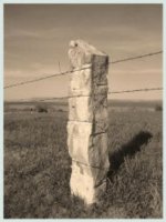 fence posts Kansas.jpg