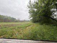 IMG_0026.jpeg