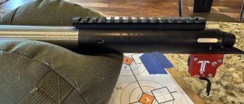 IMG_8613.jpeg