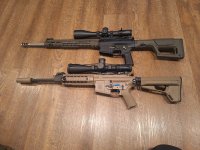 Sig 716 Patrol & Aero M5 AR10.jpg