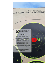 Ballistic-X-Export-2025-03-24 07_03_14.871583.png