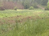 IMG_0028.jpeg