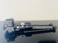 IMG_8996.jpeg