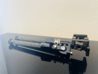 IMG_8998.jpeg