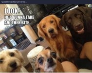 IMG_1521.jpeg