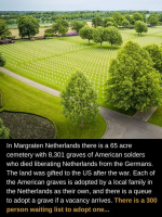 1747319129569.png