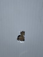 IMG_7947.jpeg