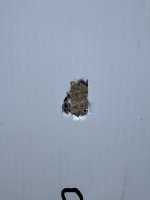 IMG_7950.jpeg