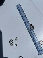 IMG_7955.jpeg