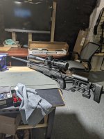 PXL_20250515_181525379.MP.jpg