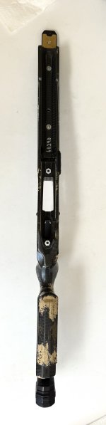IMG_7301.jpeg