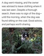 IMG_1527.jpeg