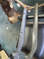 IMG_0083.jpeg