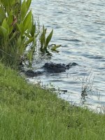 IMG_4230.jpeg