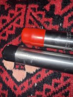 IMG_2147.jpeg