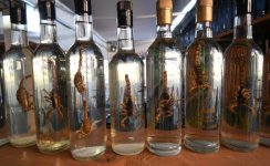 MEZCAL.jpg