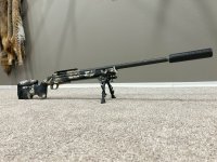 IMG_8500.jpeg