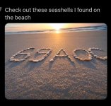 IMG_6280.jpeg