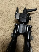 IMG_4968.jpeg
