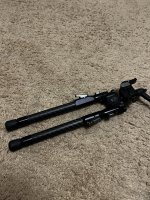 IMG_4967.jpeg
