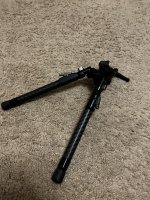 IMG_4970.jpeg