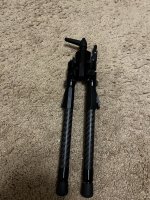 IMG_4969.jpeg