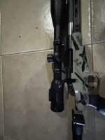 IMG_0296.jpeg