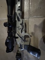 IMG_0294.jpeg