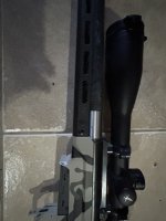 IMG_0290.jpeg