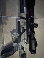 IMG_0289.jpeg