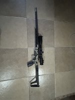 IMG_0288.jpeg