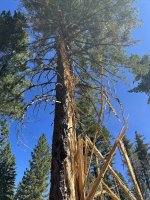 IMG_0496.jpeg