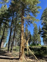 IMG_0495.jpeg