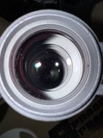 IMG_0606.jpeg