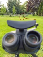 IMG_5129.jpeg