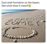 1747700606766.png