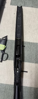 IMG_4030.jpeg