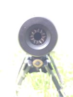 IMG_0732.jpeg